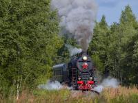 Каталог экскурсий Карельские пейзажи на Ретропоезде 2. Лайт. (На Ласточке из Санкт-Петербурга)