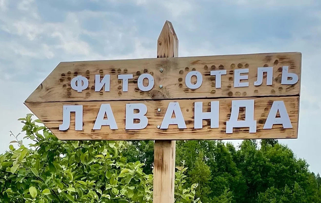 Лаванда фито-отель